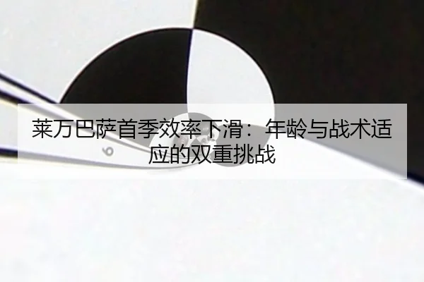 lai-wan-ba-sa-shou-ji-xiao-lv-xia-hua-nian-ling-yu-zhan-shu-shi-ying-de-shuang-chong-tiao-zhan-2-739.jpg